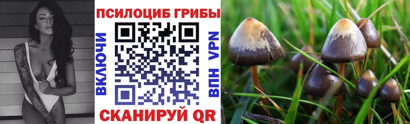 купить  цена  Суоярви  Галлюциногенные грибы GOLDEN TEACHER 